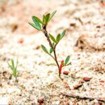 Relying on consciousness